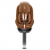 mxc_pearlpro2_authencognac_5.jpg